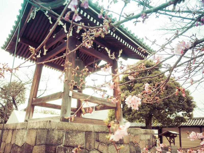 Stay Sakura Kyoto Toji West II Exterior photo